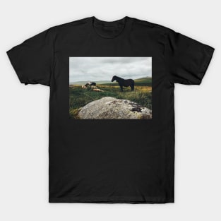 Wild Horses T-Shirt